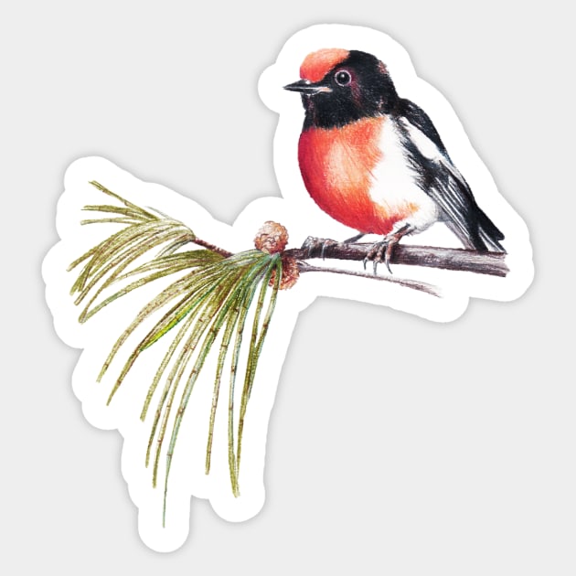 Scarlet Robin Sticker by PollaPosavec